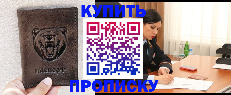 где прописаться в Курчалом